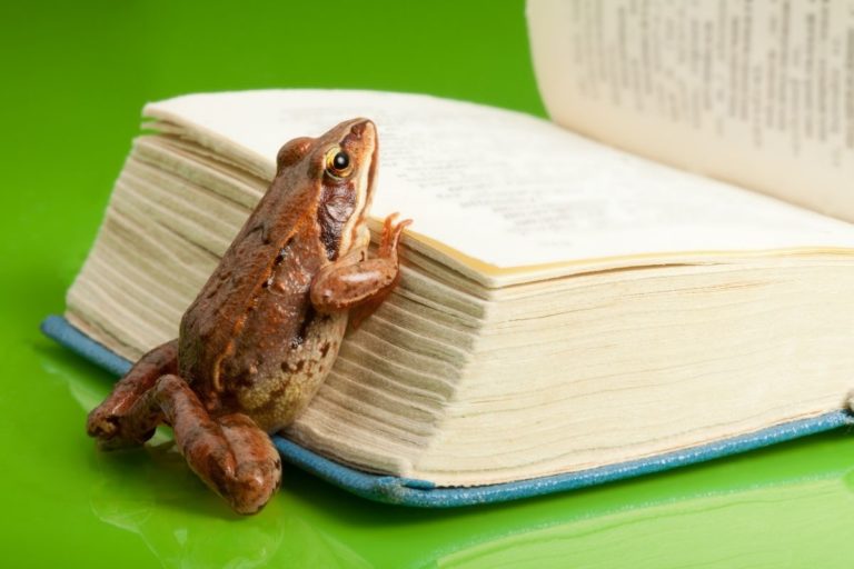 7 Incredible Wildlife Books You Should Have In Your Home Library
